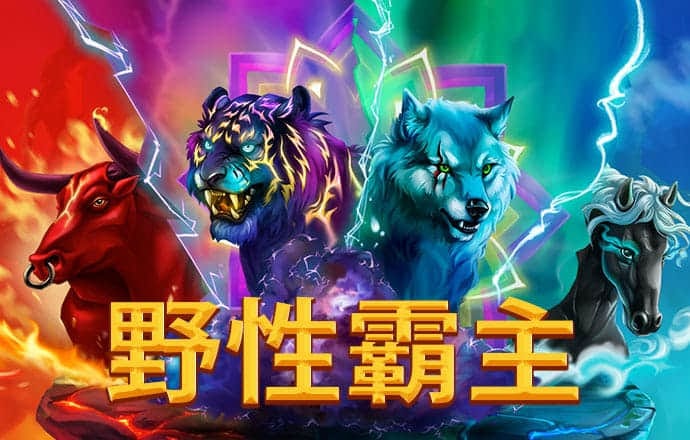 kai云体育app网页登录